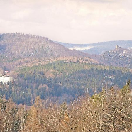 Вілла Willa "Sniezna Kopa"-Agroturystyka Pro Zdrowotna Сосновка Екстер'єр фото