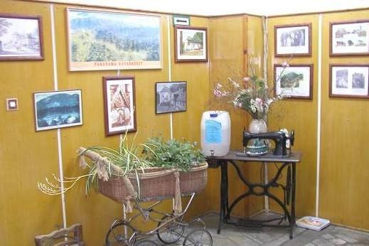 Вілла Willa "Sniezna Kopa"-Agroturystyka Pro Zdrowotna Сосновка Екстер'єр фото